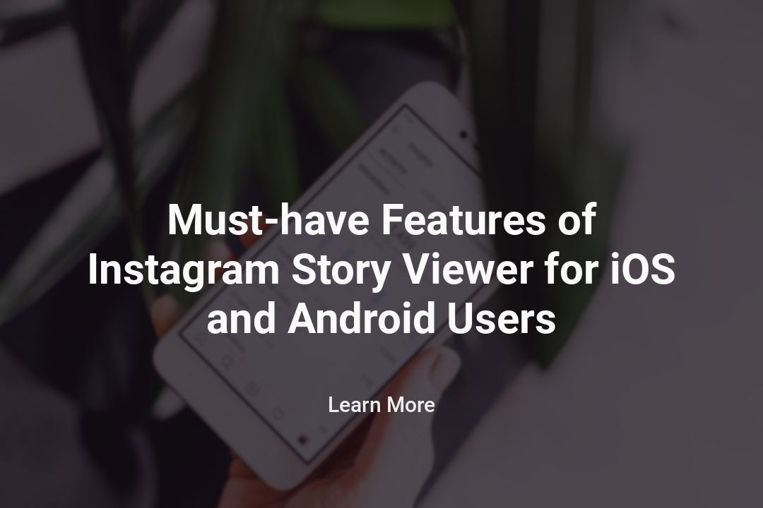 Instagram Story Viewer